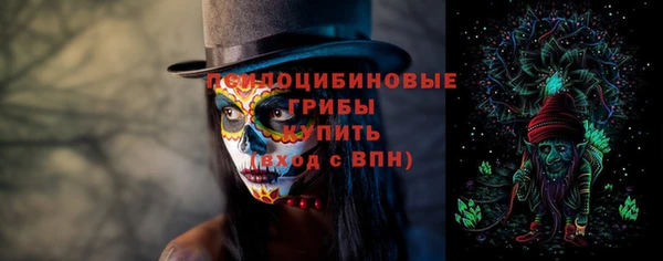твердый Верея