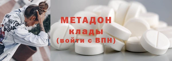 прущие грибы Ростов