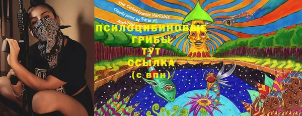 гашик Верхний Тагил
