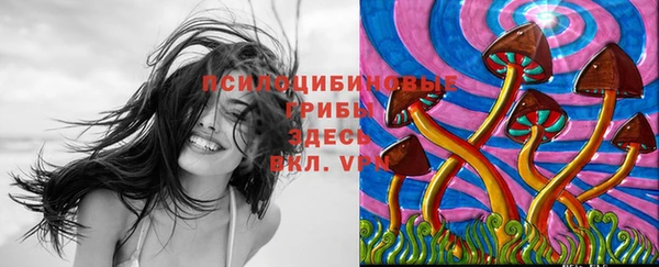 гидропоника Волосово