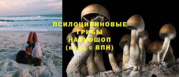 твердый Верея