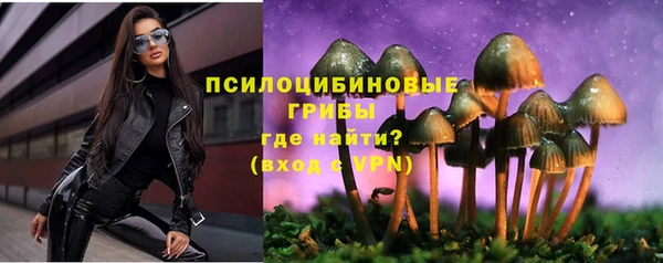 твердый Верея