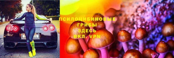 твердый Верея